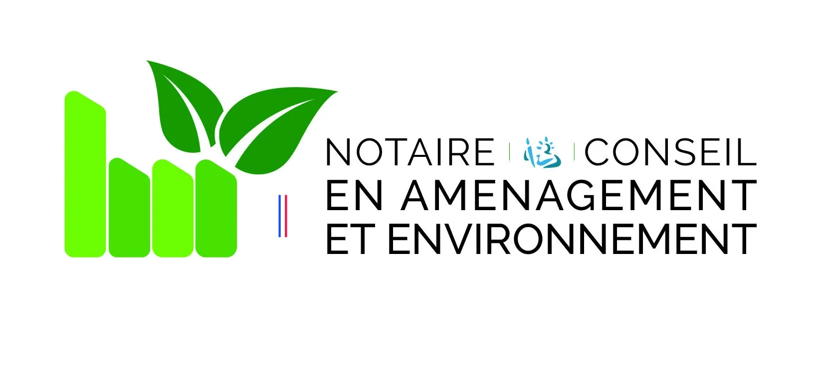 NCAE-QUADRI-e1652889554677